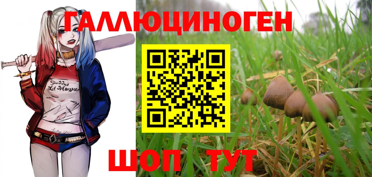 Галлюциногенные грибы Cubensis  Вход с VPN  Новошахтинск 