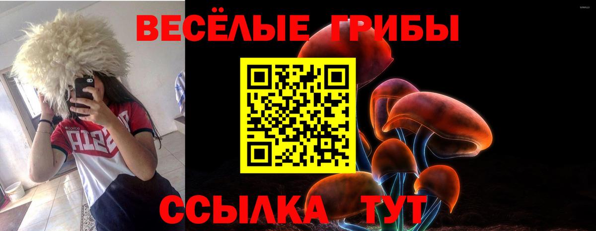 Галлюциногенные грибы Psilocybine cubensis Новошахтинск